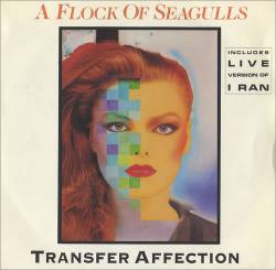 A Flock Of Seagulls : Transfer Affection